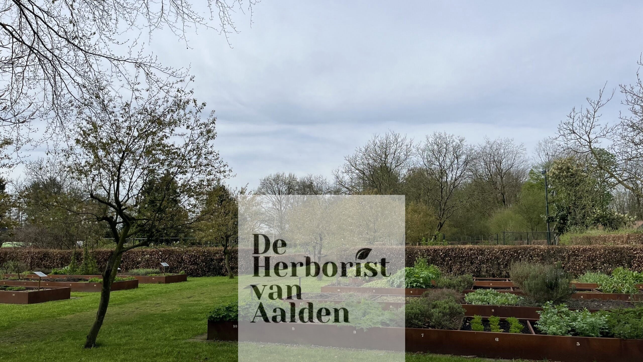 De Herborist van Aalden kruidenbedden overzicht Heerlijck Hopveld