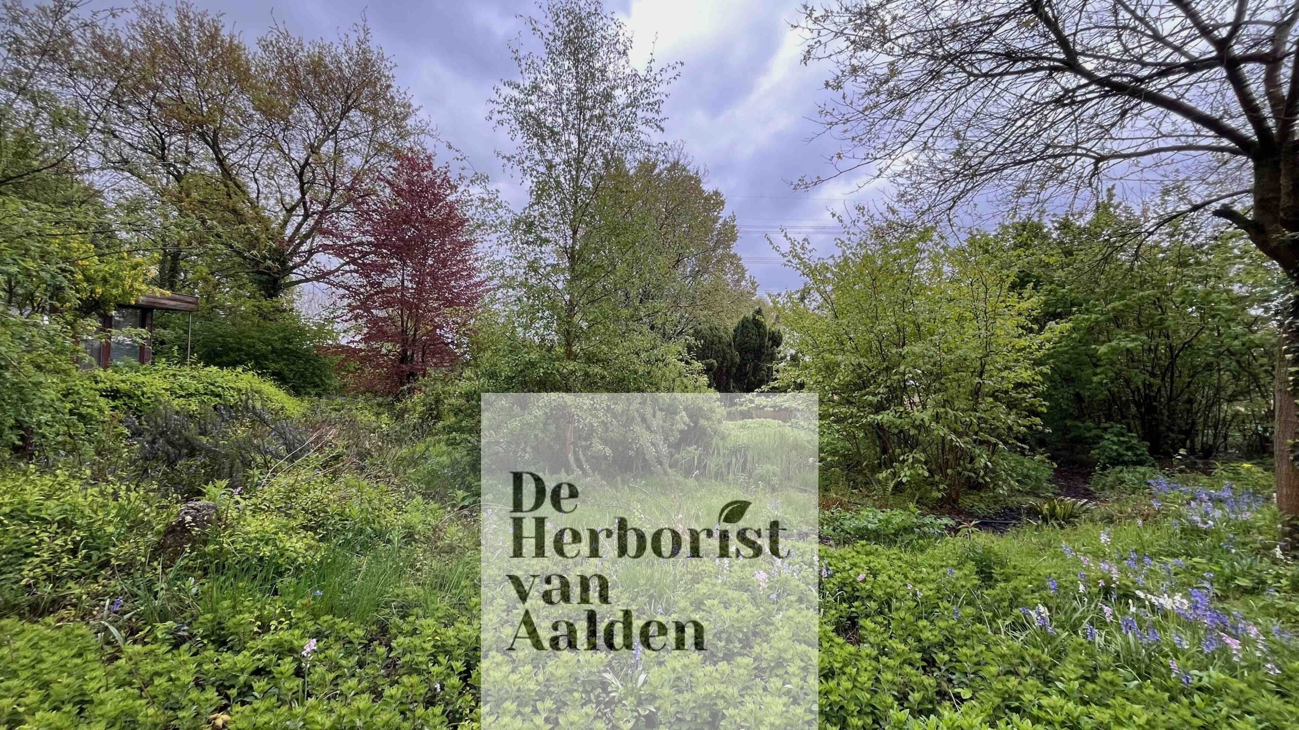 De Herborist van Aalden bezoekt de Tuin van Weleda in Zoetermeer